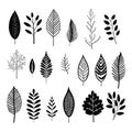 Grayscale impressions: depicting the beauty of black and white botanicals Royalty Free Stock Photo