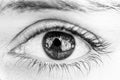 Grayscale macro closeup shot of a human eye with the reflection of the photographer in the eye Royalty Free Stock Photo