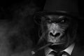 Grayscale of a man in the form of a Gorilla smoking a cigar, AI-generated. Royalty Free Stock Photo