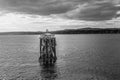 Grayscale Mesmerizing view of a wooden Old Lighthouse on the River Tay in Scotland Royalty Free Stock Photo