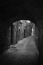 Grayscale of an old stone-walled tunnel in a village in Ardeche, France