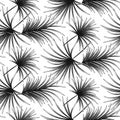 Grayscale palm leaves seamless vector pattern. Royalty Free Stock Photo