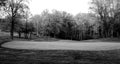 Grayscale panoramic shot of a park with many trees