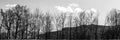 Grayscale panoramic view of naked trees by Blue Ridge Parkway under blue cloudy sky in the USA