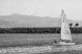 Grayscale of a sailboat leaving the harbor in Puerto Vallarta Mexico will mountains in background