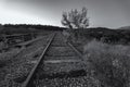 Grayscale shot of abandoned railway tracks of an old railway line Royalty Free Stock Photo