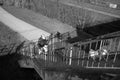 Grayscale shot of an adult male wearing a mask going upstairs with his dog