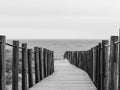 Grayscale shot of aligned wooden posts on a narrow boardwalk near the shore