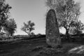Grayscale shot of the Almendres Menhir megalithic monument near Evora in Portugal