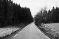 Grayscale shot of a country road passing through the rural landscape of Toten, Norway in the fall