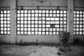 Grayscale shot of blue and white square windows and an oven