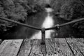 Grayscale shot of a boardwalk by a river in Tishomingo State Park, Alabama