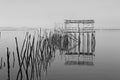 Grayscale shot of branches on the body of water near wooden dock roof Royalty Free Stock Photo