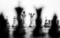 Grayscale shot of a chessboard with a full set of chess pieces arranged on the board. Royalty Free Stock Photo