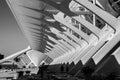 Grayscale shot of the City of Arts and Sciences cultural and architectural complex in Valencia