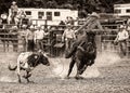 Grayscale shot of a cowboy calf roping at the Wyandotte County Kansas Fair Rodeo