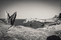 Grayscale shot of dead trees on the deserted beach Royalty Free Stock Photo