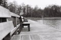 Grayscale shot of a dock with empty benches against the background of the forest.