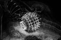 Grayscale shot of equipment in a salt mine in Turda, Romania Royalty Free Stock Photo