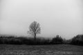 Grayscale shot of foggy morning of rural Toten, Norway.