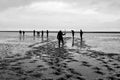 Grayscale shot of a group of mudflat hikers walking on the surface of the Wadden Sea