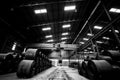 Grayscale shot of the inside of an iron and steel factory Royalty Free Stock Photo