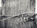 Grayscale shot of a metal wire on a wooden pole