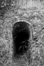 Grayscale shot of an old abandoned tunnel Royalty Free Stock Photo