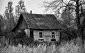 Grayscale shot of an old abandoned wooden cabin in the woods