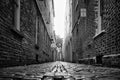 Grayscale shot of an old brick road in the King Street, Downtown Charleston