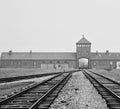 Grayscale shot of the old empty railroad track in Auschwitz concentration camp