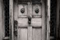 Grayscale shot of an old wooden door with lion head knocker Royalty Free Stock Photo