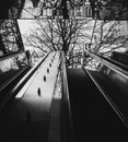 Grayscale shot of an outdoor escalator with a view of an urban city with road signs and bare trees Royalty Free Stock Photo