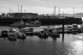 Grayscale shot of the parked small boats near the dock