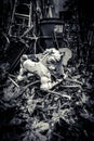 Grayscale shot of parts of dismantled carousel on fallen leaves