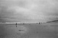 Grayscale shot of people walking on a beach under a cloudy sky