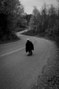 Grayscale shot of a person riding a skateboard on a curvy road in a forest