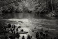 Grayscale shot of a pond surrounded by trees, Tishomingo, Mississippi