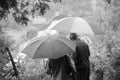 Grayscale shot of a retired couple with umbrellas on a rainy day