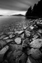 Grayscale shot of a rocky shore with clear water in Ardmore, Vancouver Island, BC Canada