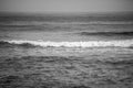 Grayscale shot of soft ocean waves Royalty Free Stock Photo