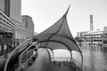 Grayscale Shot Of The Tampa Riverwalk Surrounded By Buildings In Tampa, Florida