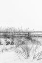 Grayscale shot of thick fog and snow-covered trees and fences during winter Royalty Free Stock Photo