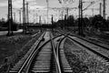 Grayscale shot of train rail tracks Royalty Free Stock Photo