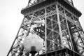 Grayscale shot of two gulls against the backdrop of the Eiffel Tower in Paris, France