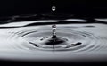 Grayscale shot of a water drop falling into the water making a perfect droplet splash. Royalty Free Stock Photo