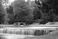 Grayscale shot of a waterfall with a background of trees Royalty Free Stock Photo