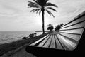 Grayscale shot of a wooden bench on the beach surrounded by the sea under the sunlight Royalty Free Stock Photo