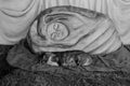 Grayscale of a Sleeping cat under a sculptured statue in the portal of Bethlehem