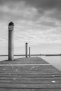 Grayscale of a tranquil dock with wooden poles on a lake Royalty Free Stock Photo